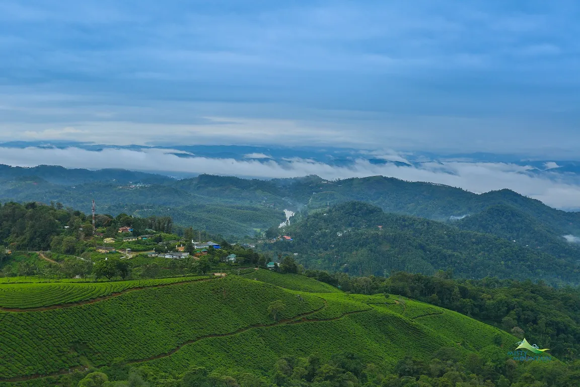 Misty Mountain Valley