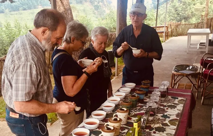 Munnar Tea Tasting Experience