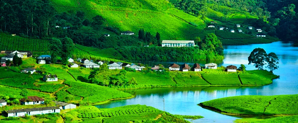 Wayanad Green Getaway