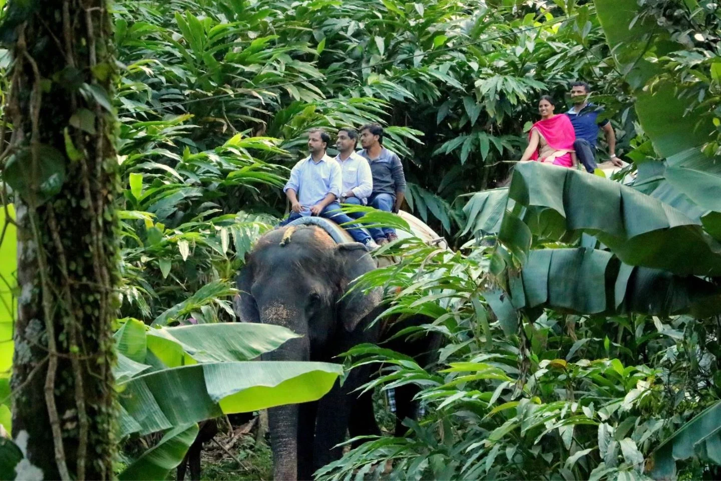 Thekkady Wild Trails