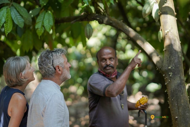 Spice Plantation Tour