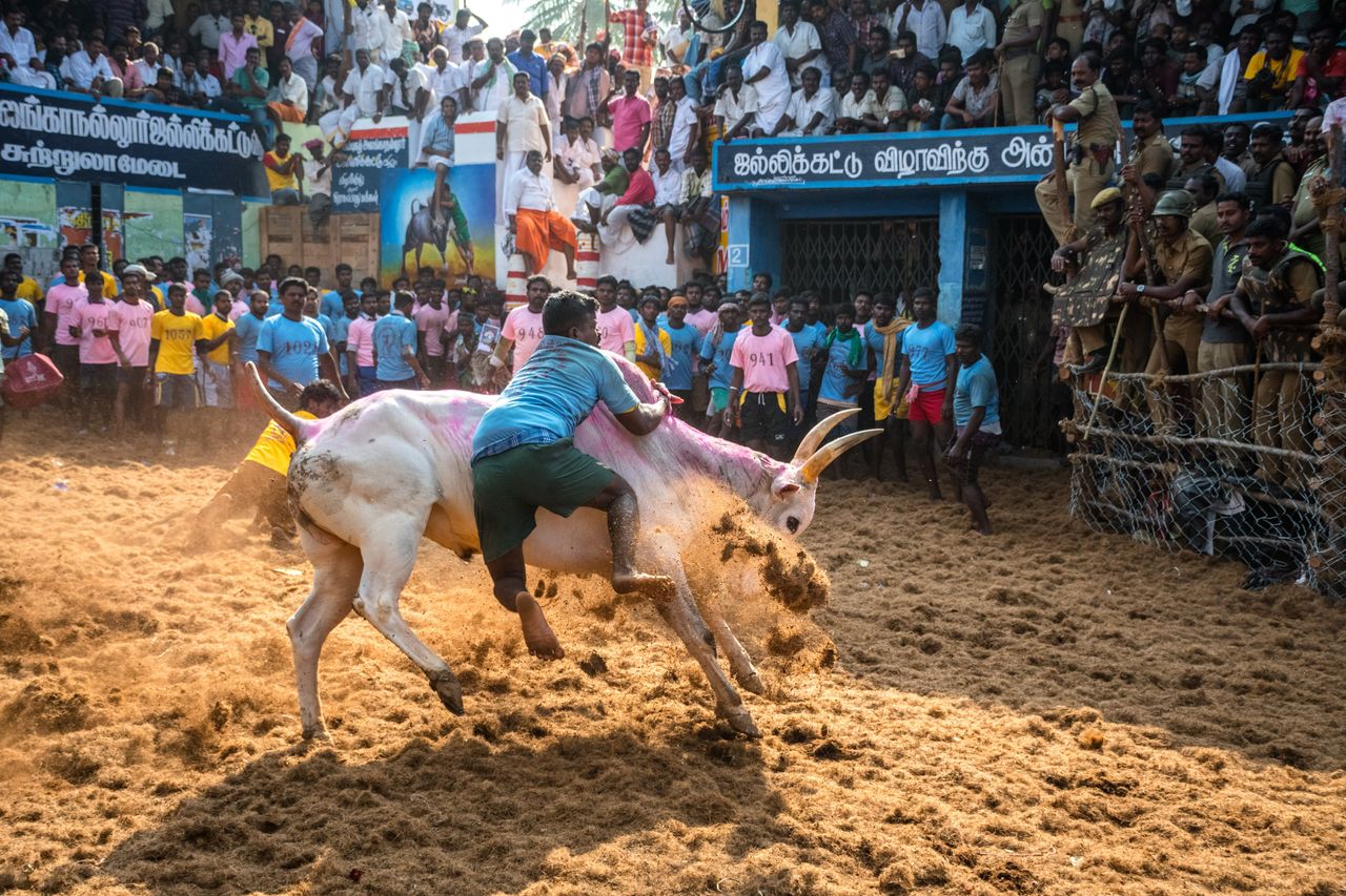 Madurai